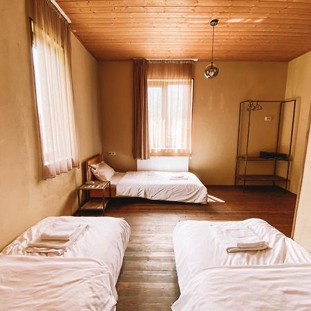 Hotel Arte In Kazbegi Extérieur photo