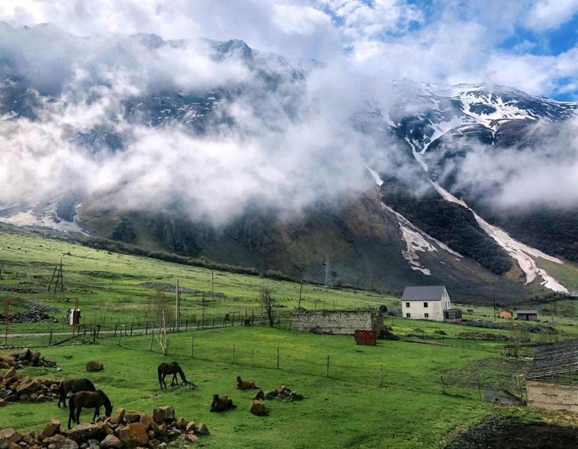 Hotel Arte In Kazbegi Extérieur photo