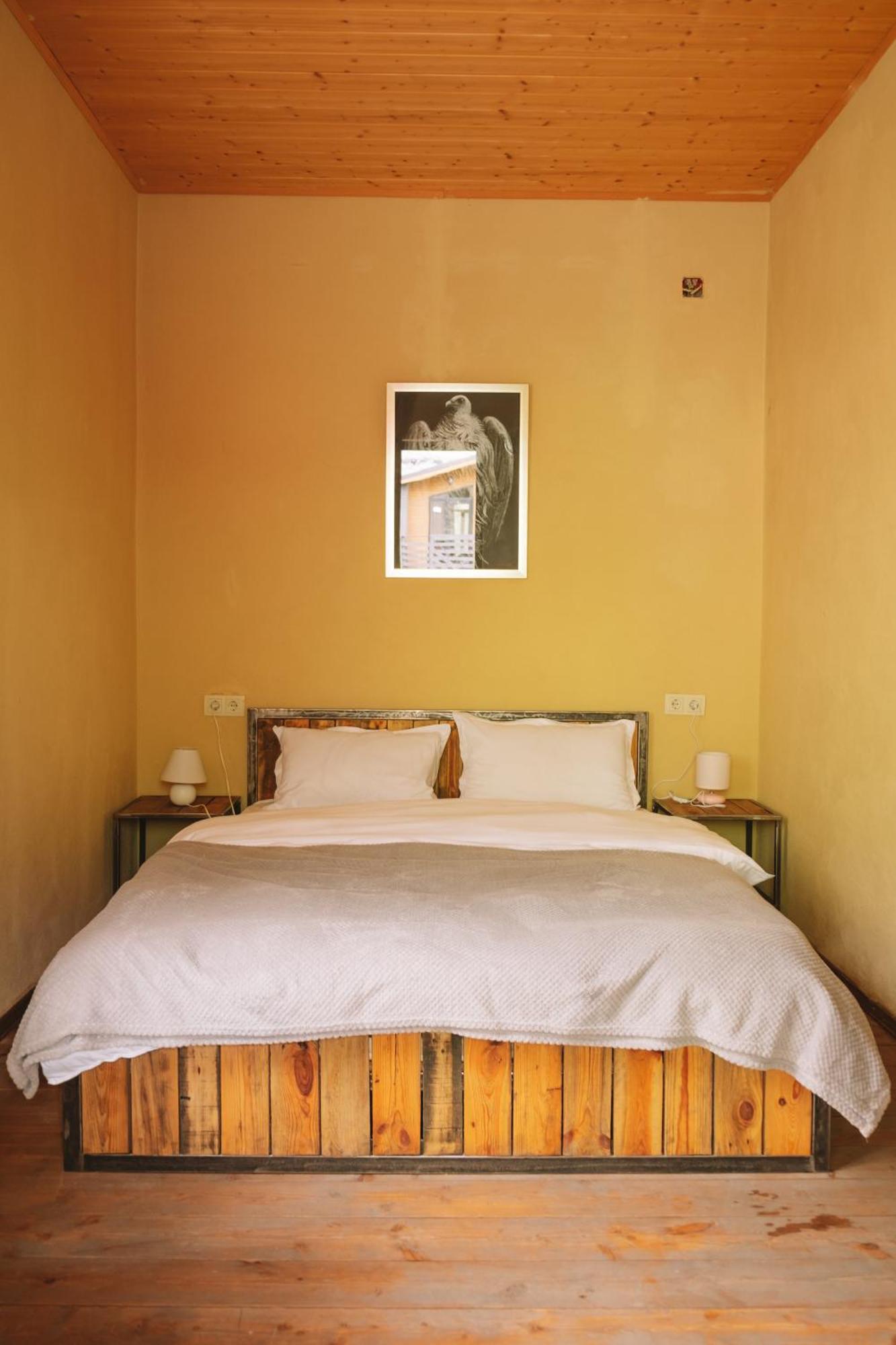 Hotel Arte In Kazbegi Extérieur photo